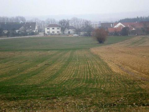 Foto 13